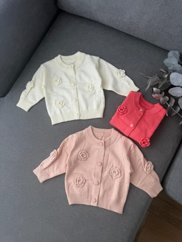 SAQUITO BOTON IMPORTADO BORDADO