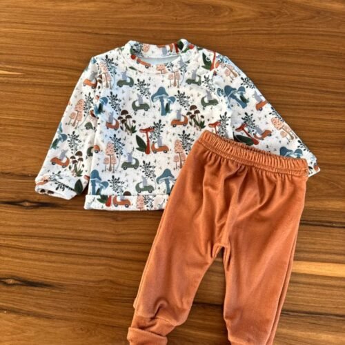 CONJUNTO PIEL DE OSO